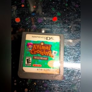 Nintendo DS game Wild World